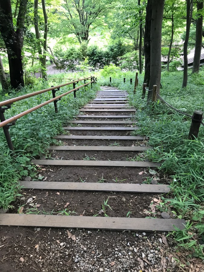 garden stairs IMG_0983