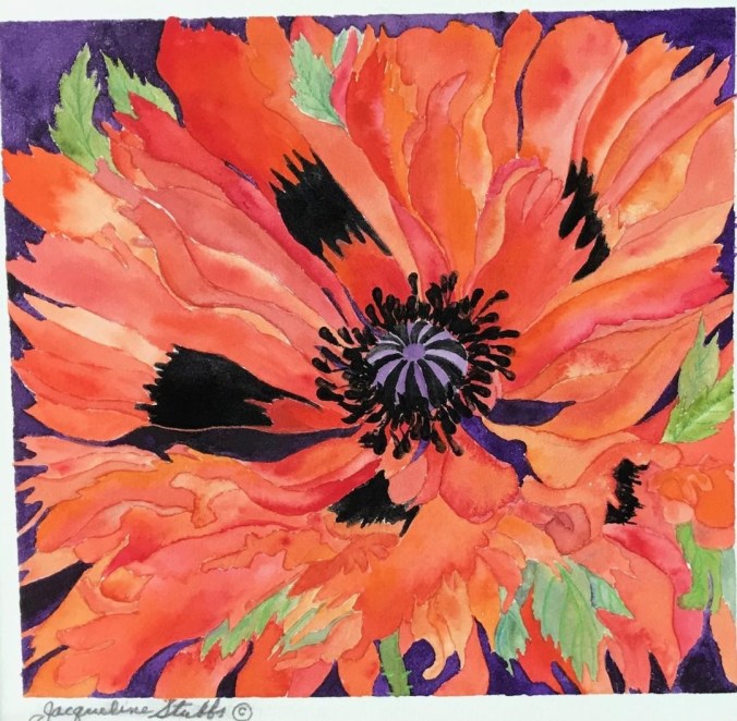 IMG_8470 (1) flower poppy