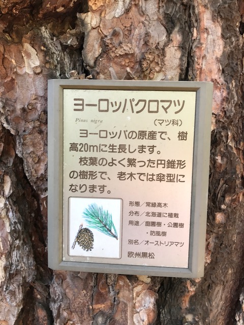 Tree sign