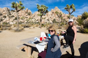 painting in Joshua Tree