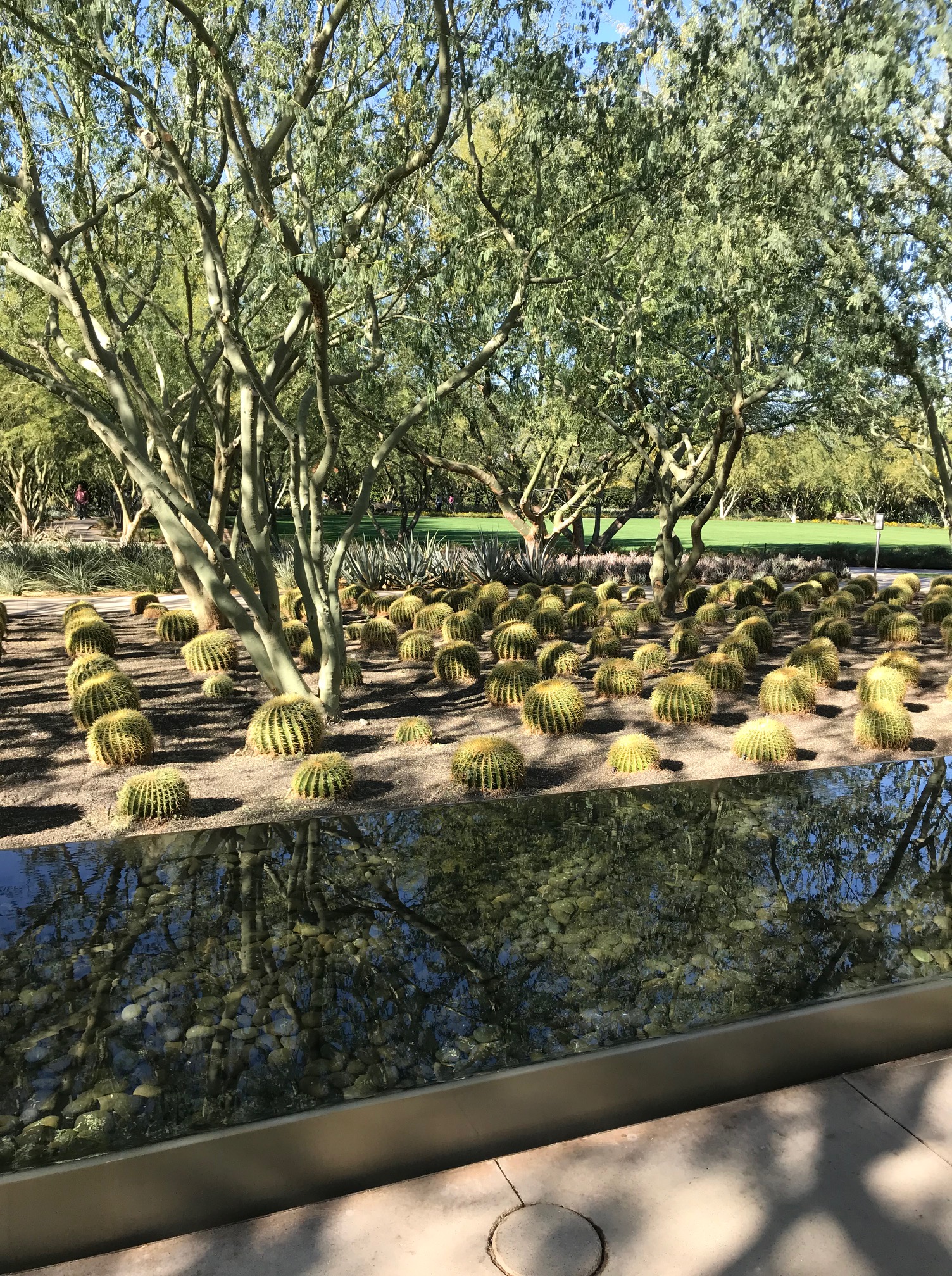 The Art of Trees – Painting on the Go | ARTISTIC PENSION