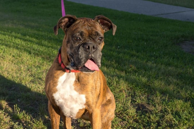 IMG_4116 (002) Shaylea's portrait by Mark