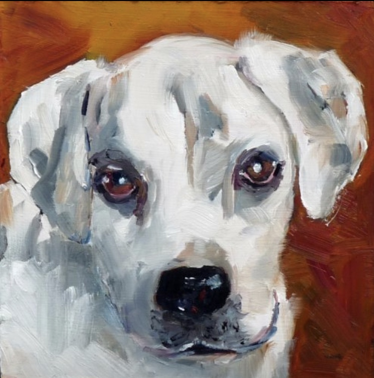 IMG_4229Tyson portrait