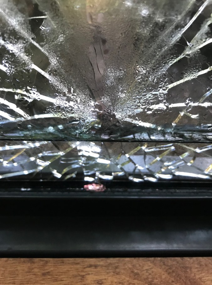 IMG_5366 (1) drop by drop