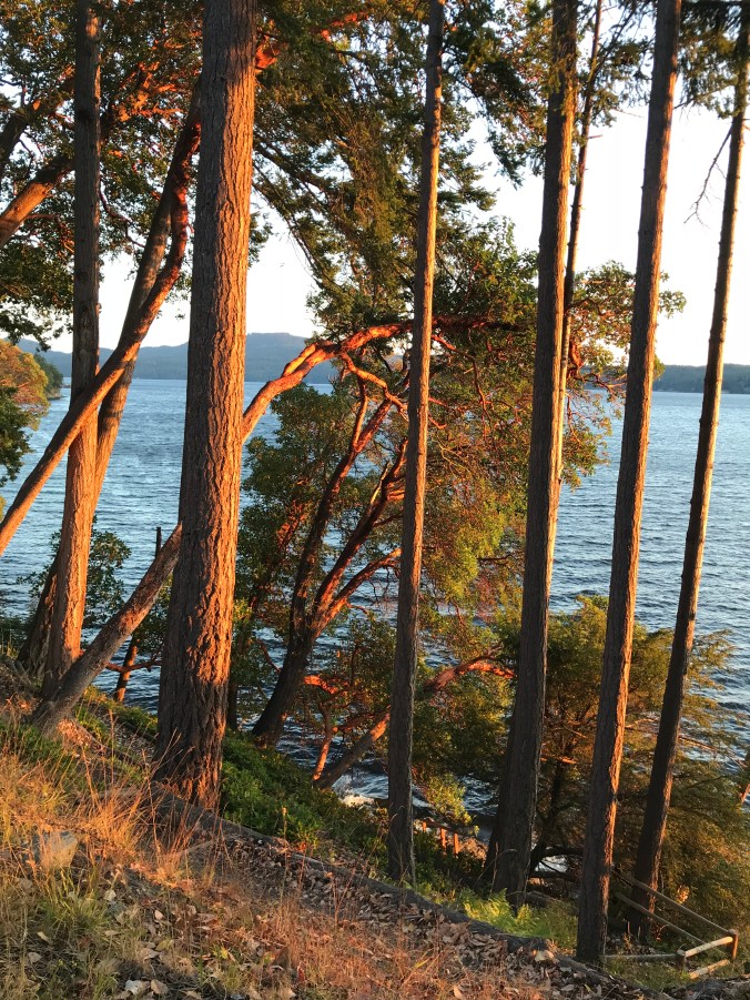 IMG_5443 (1) Madronas