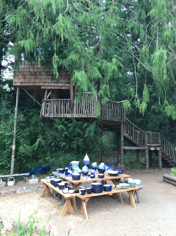IMG_5593 (1) blue pottery tree house