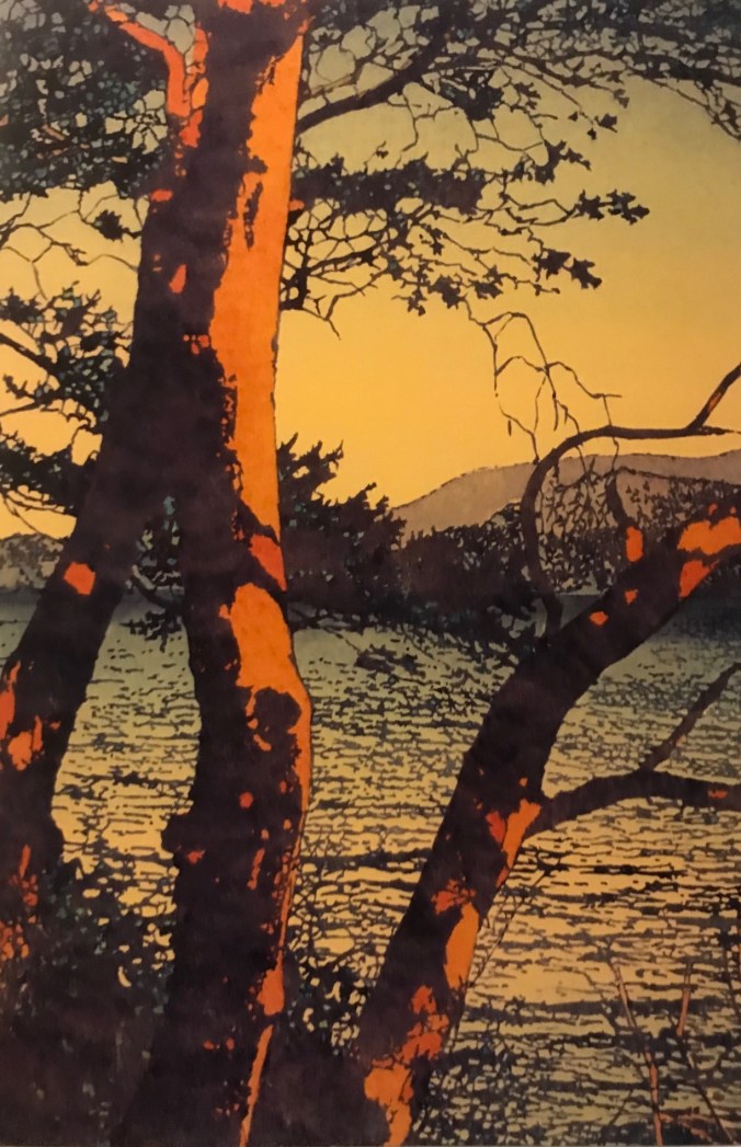 IMG_5769 (4) James Hardman Madrona