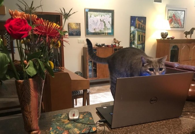 IMG_0541 Pebs at the lap top