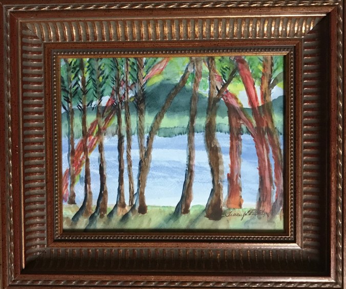 IMG_6364 (1) my madronas