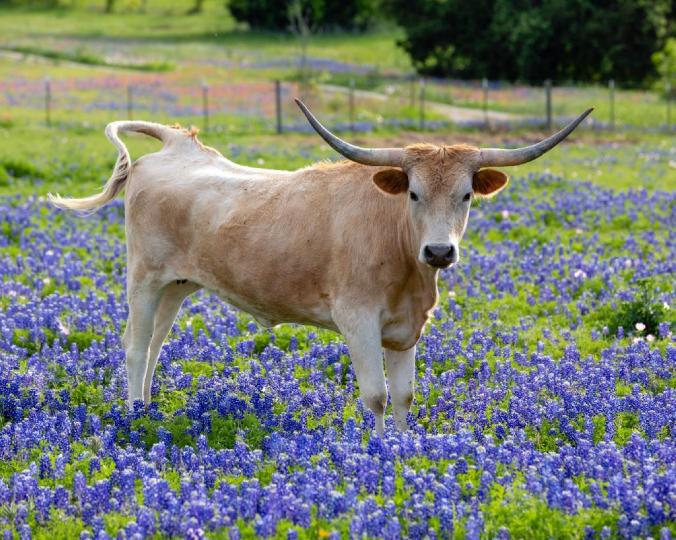 1524599070_mark_winslet_1-1024width